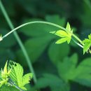 서천농장 이미지