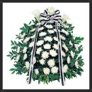 인터바이오 이미지