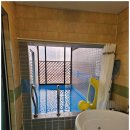 힐링애견 이미지