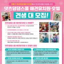 댓츠댕댕스쿨 이미지