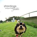 강아지 놀이터 이미지