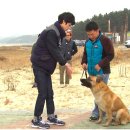 1박2일 정준영 운동화 르꼬그 드래곤 듀라텍!! 이미지