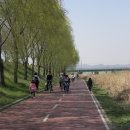 낭만자전거 이미지