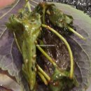 한울식당 | 송천동한우 시키면 차돌박이 서비스 주는 한울정육식당 삼겹살까지 파는 전주 소고기맛집 후기