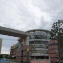 신호세탁소 이미지