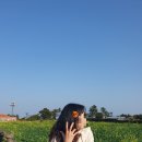 제주귤낭농원