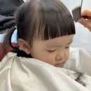 파파야미용실
