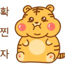 내린천펜션계곡사랑 이미지