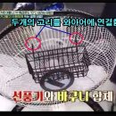 만물상’ 선풍기로 실내온도 10도 낮추는 방법, 시원하게 사용하기 이미지