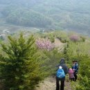 섭이네 농장 이미지