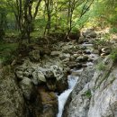 구룡자동차야영장 이미지