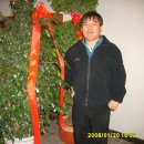 와와24 개업 축하 화환 이미지