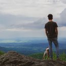 find your dog 이미지