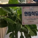 부엉이돈가스김포 이미지