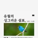 [공지] [유월의 싱그러운 쉼표] 2기 힐링명상모임 열려요!(ft. 책방 우주소년)