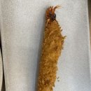 쭈꾸미,불향먹다 이미지