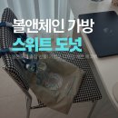 그레이앤베이지 | [Ball&amp;Chain/볼앤체인 에코백] Sweet 그레이 블루 도넛, 베이지 핑크 도넛 가방 실사용 후기! (도쿄에서...