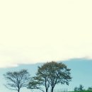 아프로목장 이미지