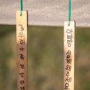 갈대한우촌 | 곡성 여행, 곡성의 가을에서 멜론 향기가 난다.