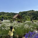 파주 아이와 가볼만한곳, 감성 가득한 꽃재체험농원 솔직후기(ft.딸맘취향저격)