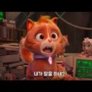 씨티퍼피 이미지