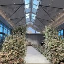 펠리체타워1 | [W-1]DMC 타워웨딩 펠리체홀 계약 후기(27년 3월 4월 견적 공유)