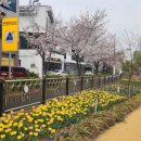 계양3동 이미지