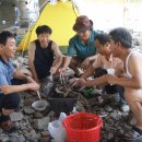 일직초등학교 이미지