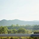 세경약국 이미지