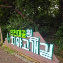 개울건너 | 인천대공원 아이랑 물놀이, 예약 없이 가는 개울숲 인공계곡 솔직 후기(+주차, 수질, 준비물)