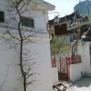 사과나무약국 이미지