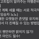 패키지 여행 취소할까??? 이미지