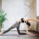 로그엔코딩학원 이미지
