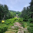 우면산3-12 | 서울둘레길 12코스 호암산 트래킹 후기｜호암산 꽃길 산책과 삼성산 성지까지 실제 난이도·소요시간 총정