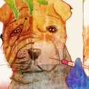 이데아성형외과의원 이미지