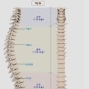 진주보조기의료기 이미지