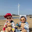 방아머리공원(주차장) | 방아머리 해수욕장 아이랑 갯벌체험 후기와 꿀팁 (포토존, 간조시간, 주차장 등) 📍대부도