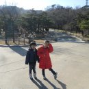 콘서트 평롱 이미지