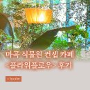 대명기획 - 여수시 신기북7길 13 | 마곡 식물원 카페 플라워플로우🌿 | 대명소노그룹 임직원 공간 전체 개방 솔직 후기