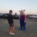 (주)피디큐 이미지