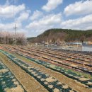 온땅공인중개사사무소 이미지