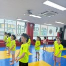 동아대동일태권도 이미지