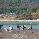 낭만낭도어촌체험휴양마을 | 4월에 떠나는 어촌 여행지 - 전남 여수 낭만낭도마을, 경남 남해 전도마을