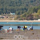 낭만낭도어촌체험휴양마을 이미지