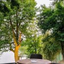 노아스로스팅은파호수점 이미지