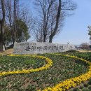 정원 | 순천만국가정원 관람후기 2026 03 21