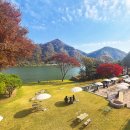 잔디밭