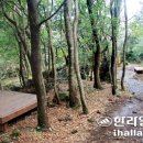 한라민박 이미지