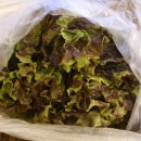 복돼지정육식당 이미지