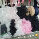 뽀앤콩 이미지